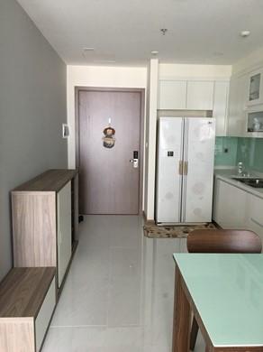 apartment for rent in HCMC BT105P5039 Vu (11)